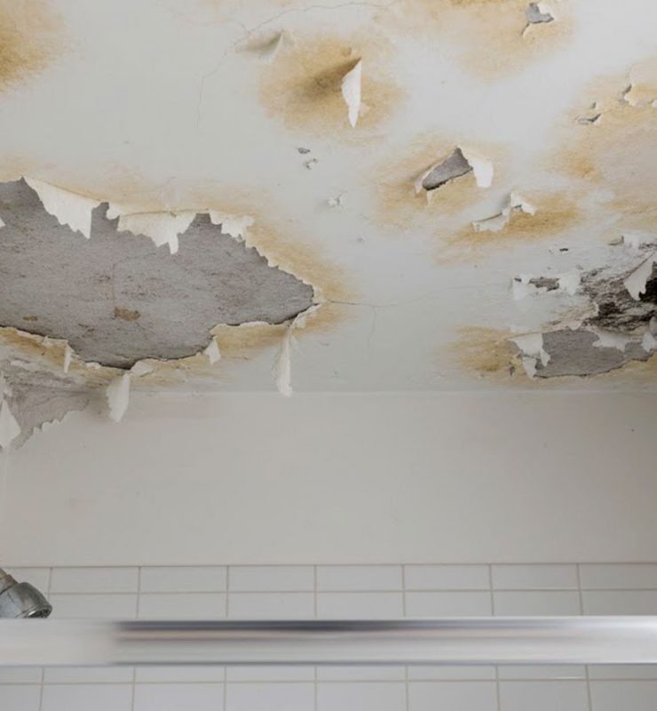 humedad en el techo baño