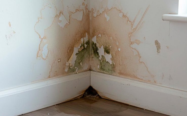 humedad por tubería rota